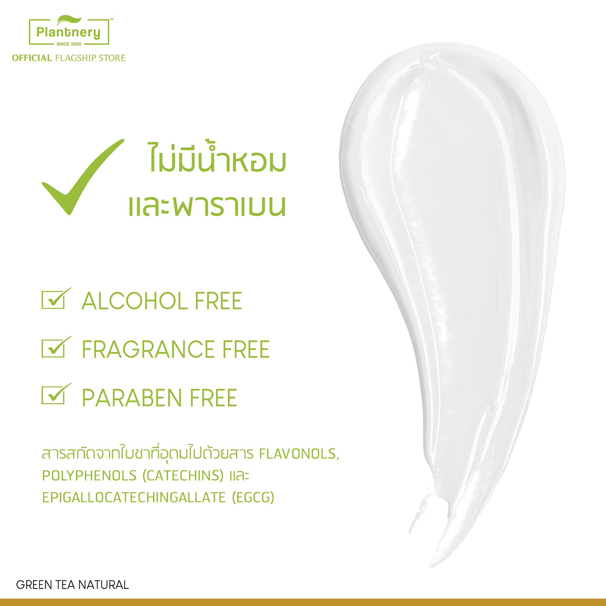 Green Tree Sleeping Mask 50g มาส์ชาเขียว ดีท็อกผิวข้ามคืน ชะล้างสิ่งสกปรกตกค้าง ฟื้นคืนผิวให้มีสุขภาพดี